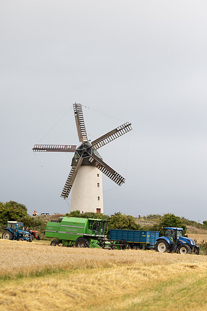 SkerriesFarmersMarket&HarvestFestival 2025-91