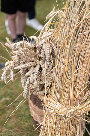 SkerriesFarmersMarket&HarvestFestival 2025-81
