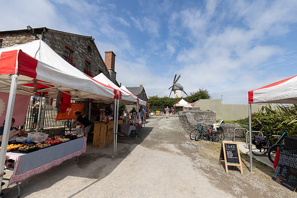 SkerriesFarmersMarket&HarvestFestival 2025-133