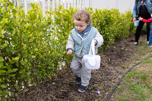 Seagardens Easter 2025-83