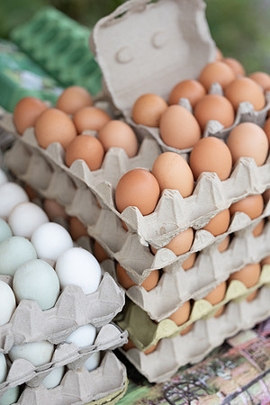 SkerriesFarmersMarket&HarvestFestival 2025-59