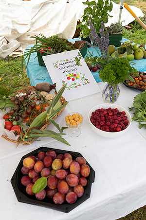 SkerriesFarmersMarket&HarvestFestival 2025-96