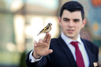11-kilkenny bird-001