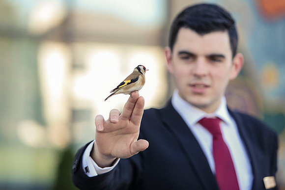 11-kilkenny bird-001