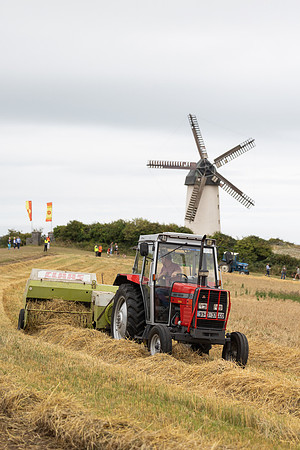 SkerriesFarmersMarket&HarvestFestival 2025-159