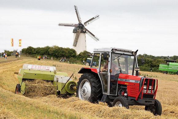 SkerriesFarmersMarket&HarvestFestival 2025-160