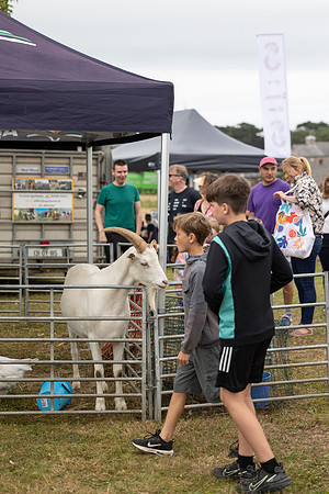 SkerriesFarmersMarket&HarvestFestival 2025-161