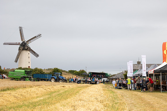 SkerriesFarmersMarket&HarvestFestival 2025-89